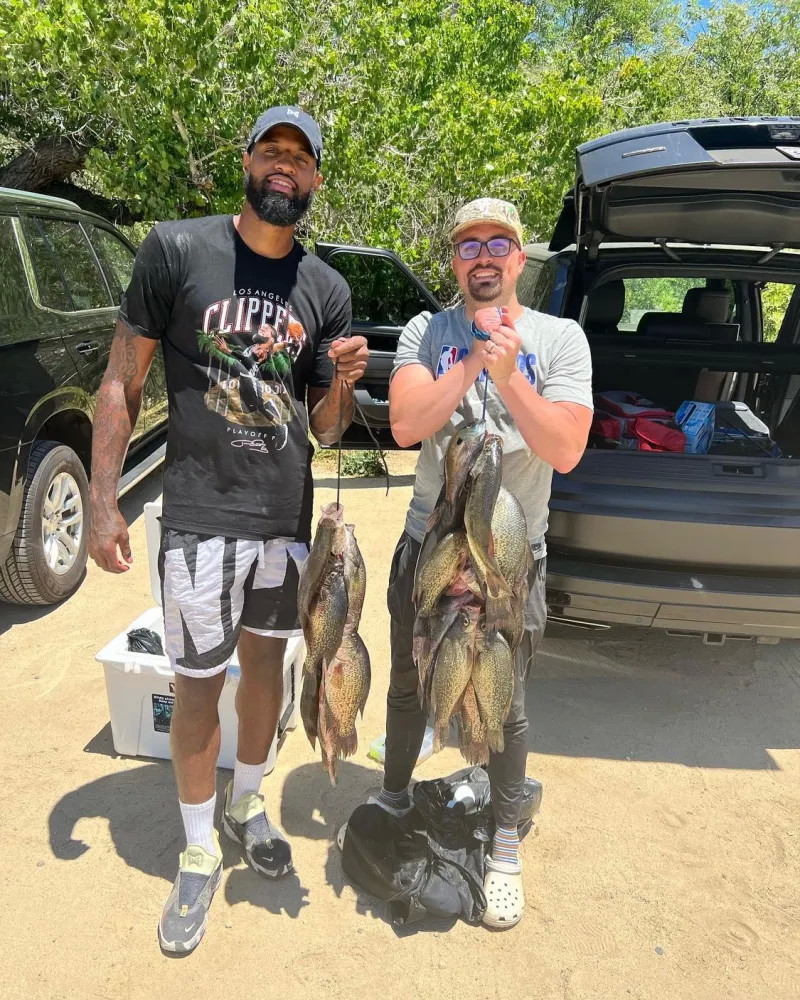 使球队总能 使球队总能